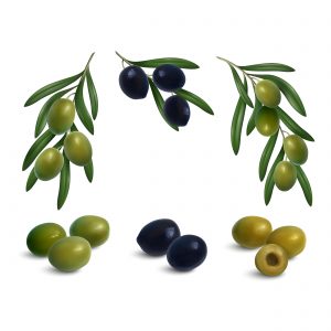 CATEGORIA ACEITUNAS HORTAMED